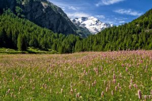 Clasificación de la calidad de vida de las provincias italianas en 2022: ¿Cuál es la mejor para vivir?