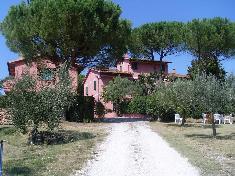 Cabaña en venta en FAUGLIA (PI)